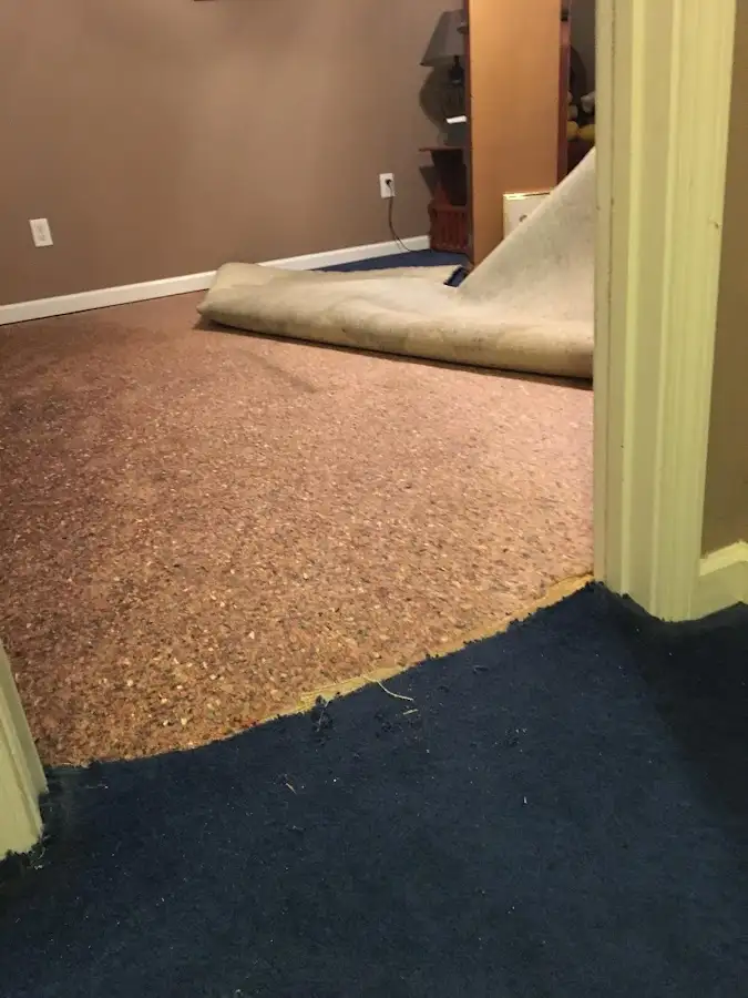 Carpet pad removal revealing water damage during Drying & Dehumidification in Oakland